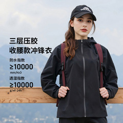 新女款单层冲锋衣25年春秋季防风防水轻量化收腰透气外套可印logo