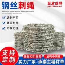 防爬刺防盗刺铁蒺藜刺铁丝铁丝网围栏围墙网不生锈镀锌钢丝刺绳