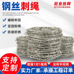 Anti-Climbing Thorns, Anti-Theft Thorns, Thorns, Thorns, Thorns, Wire Mesh, Fence, Fence, Rust-Free Galvanized Steel Wire, Barbed Wire
