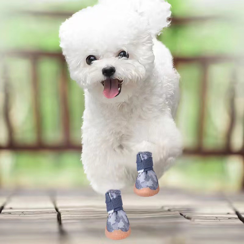 팬더 블랙