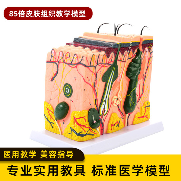 Physiological medicine postoperative three dimensional skin…