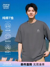 NX真维斯灰色短袖t恤男女夏季2026新款熊爪印花美式宽松上衣