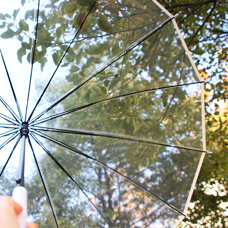 Wind-resistant large pure transparent umbrella automatic long handle umbrella hot sale umbrella set Internet celebrity fresh windproof plastic transparent umbrella