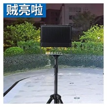 led֧��Ͷ�������Ƅ����֧�ܹ��ع��I����̽�չ�����܇