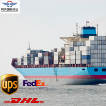 ���H���������� �������\ƴ����������} ���� �W�ތ��� ��������