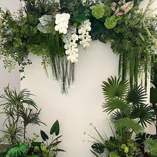 �W�t���J����ǧ�ӽ����R���Rβ�ɰٺ���ǧ�z�Gɫɭ��ϵ��c���滨