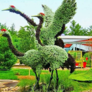 Производитель зеленых скульптур Краснохвостый журавль Зеленый парк скульптур Ландшафтная имитация растений Скульптура Генань Муниципальная инженерия Трава Слива Береза Освещение