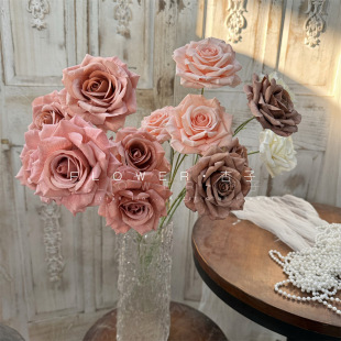 �W�t�鷿���û�Y3�^�������Z���滨��܇�廨�ҾӲ����z�Wӡõ��