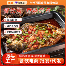 工厂定制香辣烤鮰鱼清江鱼开背烤鱼餐饮商超鮰鱼冷冻商用酒店食材
