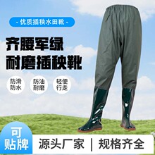 �R����ˮѝ��~ѝ���ﲶ�~����Ь��ˮ����Ь��ĥ������ˮѝ���l