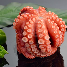 水产干货类;贝类;鱼类