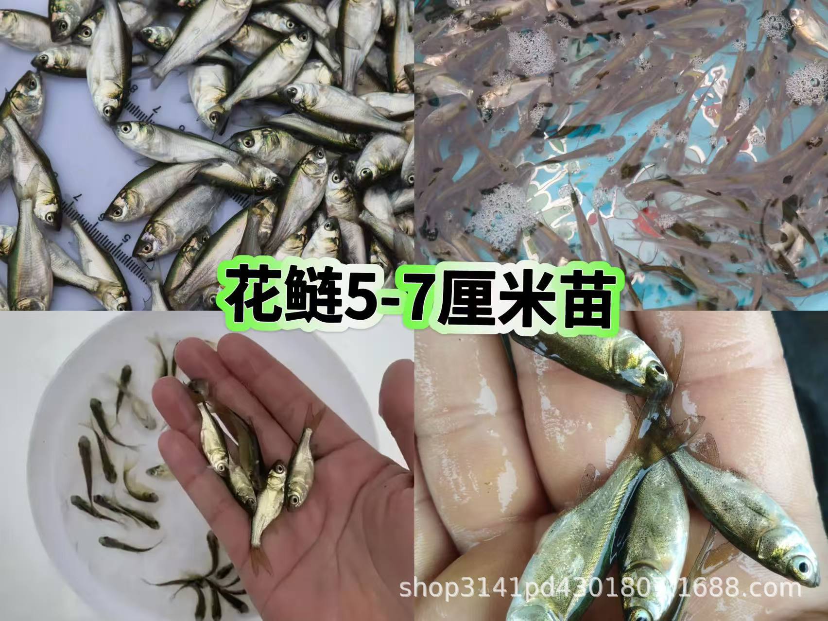 微信图片_20250603193757_290