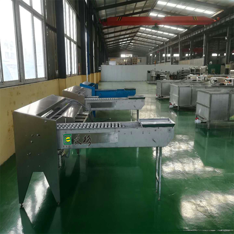 山东鸡鸭蛋蛋品分级机   不锈钢蛋品分级机    鲜蛋分级机价格