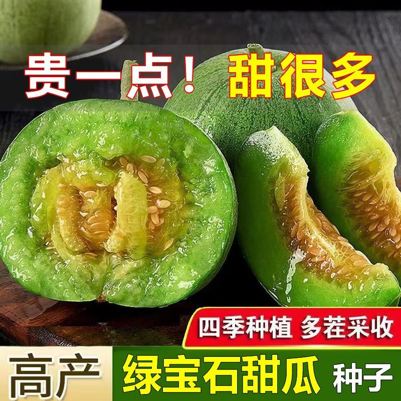 【绿宝石甜瓜种子】适应性强四季种植甜瓜种子春季简单庭院种植