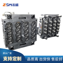 瓶胚16腔模具 一手瓶胚模具 PET瓶胚制造 塑料模具
