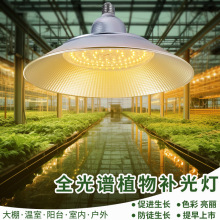 ȫ���Vֲ�����L��LED��ˮ��������߲����绨��led�����a����ɫ��