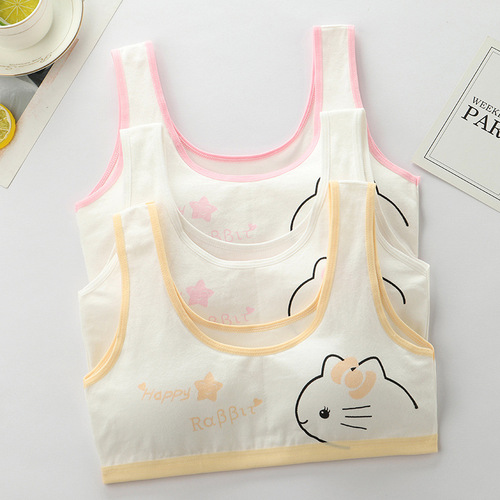 Girls' underwear, primary school girls' development period underwear, junior high school students, adolescent students' bras, girls' vest bras