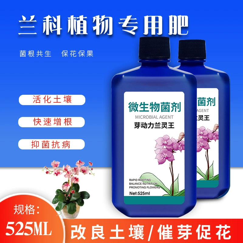 Bud Power Home Orchid Power Orchid King Phalaenopsis Clivia Балкон Сад в горшке Жидкое удобрение для посадки земли