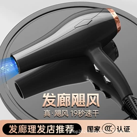 电吹风;空气净化器;USB风扇