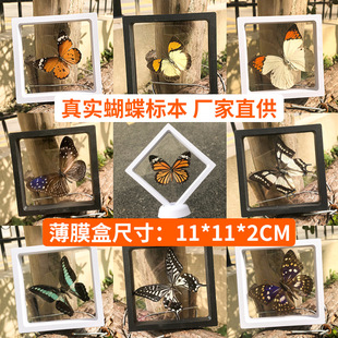 ������˱���չ�����x�̌W͸��pe��Ĥ�Ҹ������b�[�������bYƷ