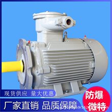 南防微特防爆电机/防爆变频电动机/支持定制/ 型号齐全 /量大价优