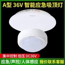 36v�͉�����������픟�a�͑������������Դ���п������ܸБ����A