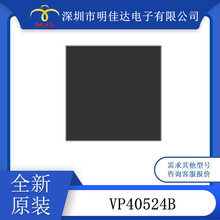 VP40524B ���ɵ�·IC BGA