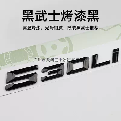 lettering, 530Li rear emblem, and — Car logo