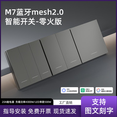 Mijia APP スマート スイッチ パネルに接続されています Bluetooth メッシュ 2.0 デュアル コントロールは Xiaoai の音声コントロールをサポートしています