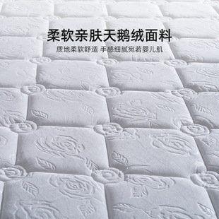 ��ȻҬ�ش��|10cm15cm��������Ҭ�h���؉|����ϯ��˼ܛӲ�m��