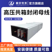 �߉�����ĸ���۸ߏ��ȷ��]ʽĸ������򝲺B��ˮ���ݔ��ĸ����