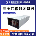 高压共箱母线槽高强度封闭式母线防火桥浇筑防水电力输送母线桥