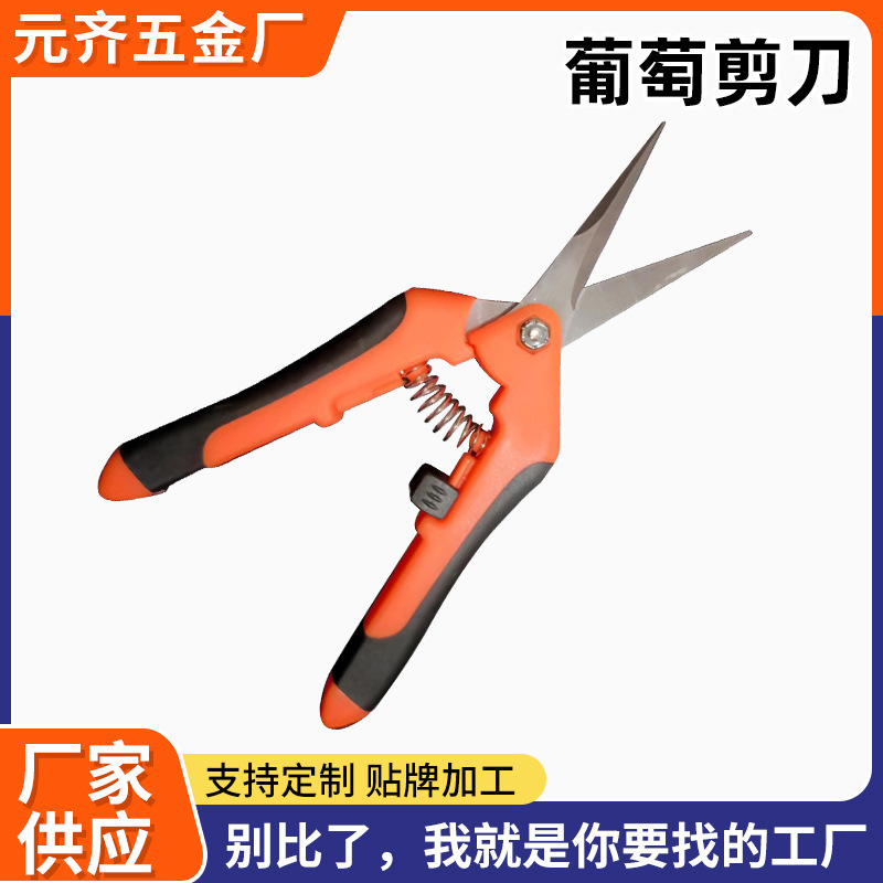 现货不锈钢果树修枝剪葡萄剪疏果树枝直头园林修剪摘果剪剪刀枝条
