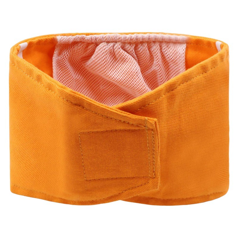 Собака Pet Health штаны санитарные штаны Тедди золотистый ретривер подгузники для домашних животных штаны для здоровья собаки Мужские штаны для здоровья собаки