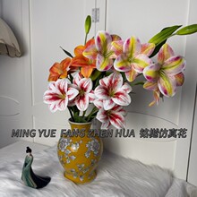 �S��ֱ�N���^��ݰٺϷ��滨���滨�ֹ���c�û����콁����Y�쾰