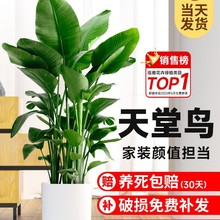 B҃ȿ͏d߼д;GֲkҴ~ֲ߶Qm·