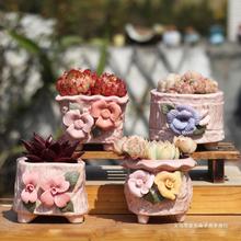 多肉植物花盆手工捏花方形创意粉色桌面控型群生盆粗陶