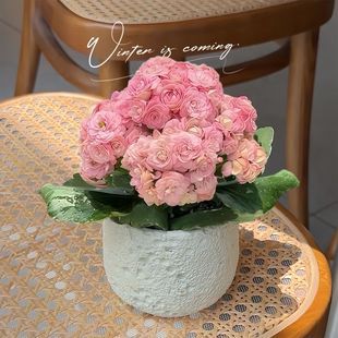 ����ϼ����ɫ�ذ��_������ֲ���k���҃��̨�Gֲ�������Ժ��B