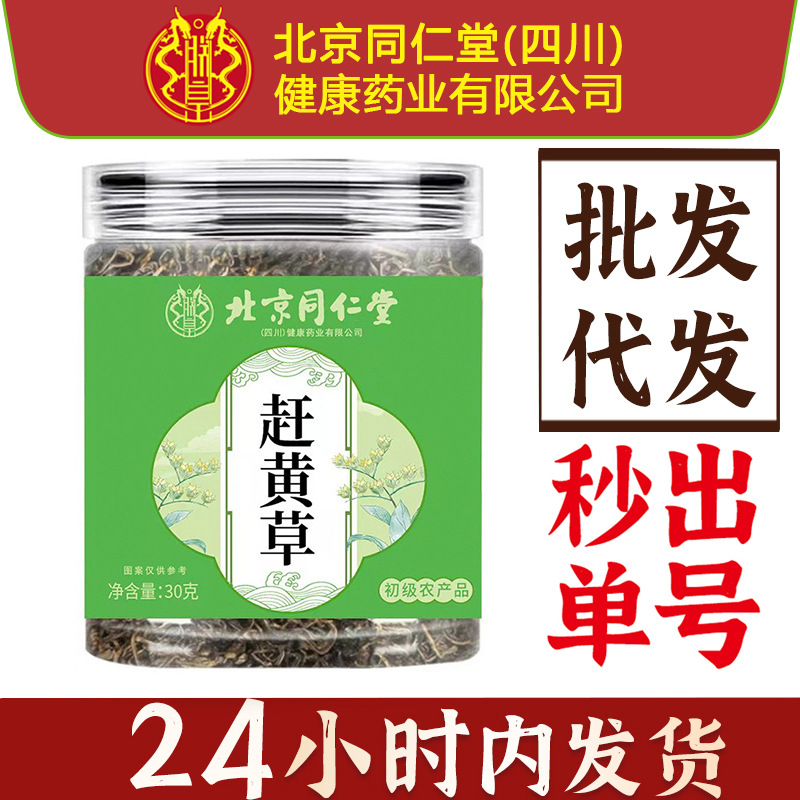 北京同仁堂朕皇赶黄草30g/罐茶熬夜常备当季新采易冲泡赶黄草茶叶