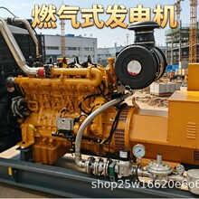�羳����25kW��Ȼ��Һ��ʯ���� CNG LNG LPG ���з��õ� ��������