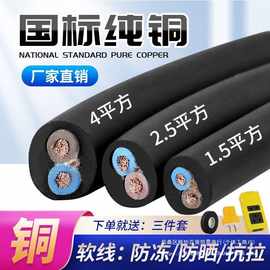 二芯纯铜国标珠江电缆线户外软线2.5/4平方护套线5/10/50米延长线