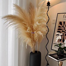 ����˹�W�t��ɫ�JȔ�ɻ������[���͏d�҃��쾰����b��JȔ��Ȕ