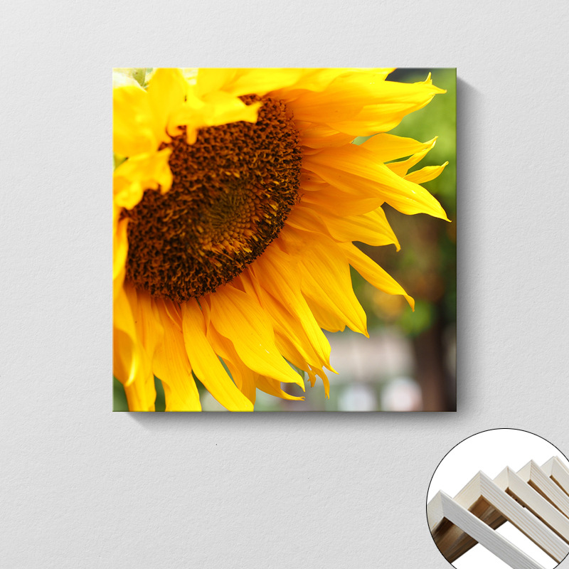 Pintura decorativa coreana girasol Sala de estar moderna y simple flores de sol colgando pintura mural del dormitorio del restaurante pintura cuadrada sin marco