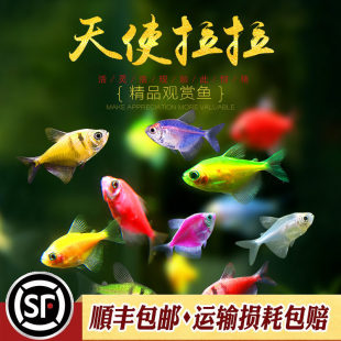 ��ʹ�~�S�¾G���ϻ���ʹˮ��Ꭷ�^�pС�~�����������T�ɹ��~���w
