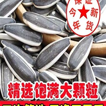 ɹ؛ԭζӳwӽY5bӽζ