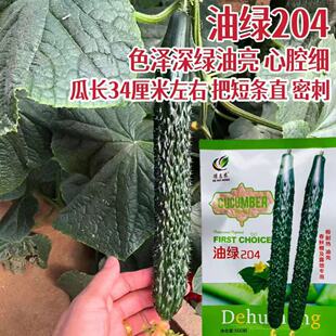 ���»��r�;G204����¶���S�ϷN���͟�����̹ϰ��ܴ��ļ��߲�