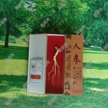 人参批发单支装人参礼盒送礼东北特产会销礼品人参整根