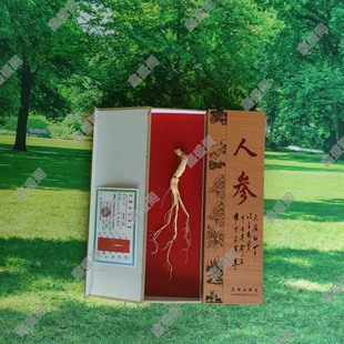 �˅����l��֧�b�˅��Y���ͶY�|���خa���N�YƷ�˅�����