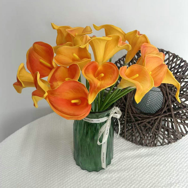 d77b72419029791ebdd176ca9f2d49