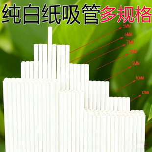 100֧���׼�����ʳƷ�����|ƽ�ڬF؛���ֱ��4-12mm��Ҏ��F؛��